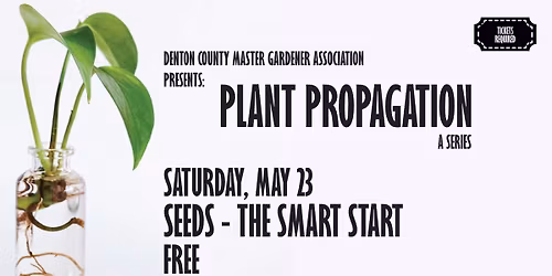 Seeds - The Smart Start
