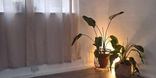 Menopause Wellbeing Studio Launch