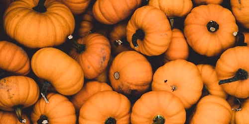 Summerween Market by the PEI Witch Market
