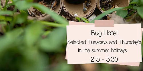 Kids | Create your own bug hotel