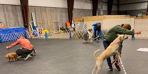 (1 SPOT LEFT) Tricks Fun Sessions!