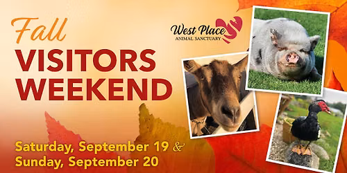 Fall Visitors Weekend