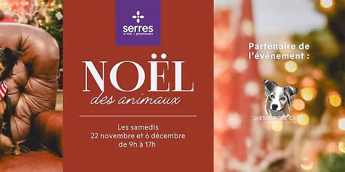 No\u00ebl des animaux aux Serres St-\u00c9lie \ud83d\udc36\ud83c\udf84