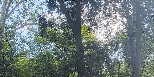 Outdoor worship and potluck picnic