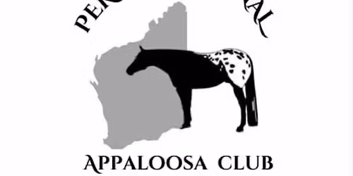 Silver buckle series A show