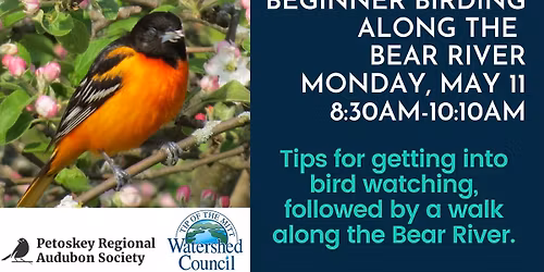 Birding Along the Bear River