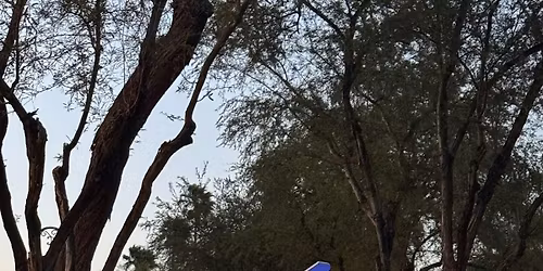 SoundJourneyPiano \u2014 \u2018Silent\u2019 Piano Concert