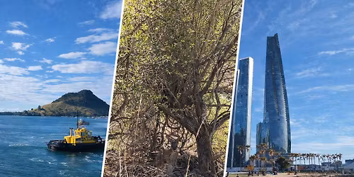 Mi\u0119dzy portami a scen\u0105. \u017bycie artysty na statku wycieczkowym (Azja \u2013 Australia \u2013 Nowa Zelandia)