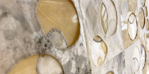 David Owens Hasting Lecture "Exploring Nature with Paper + Stitch"