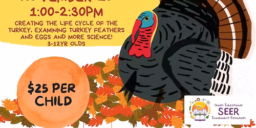 Circle of Life Cycles: The Turkey