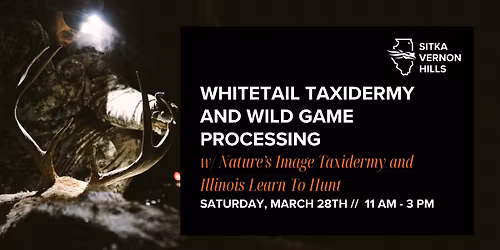 Whitetail Taxidermy and Wild Game Processing
