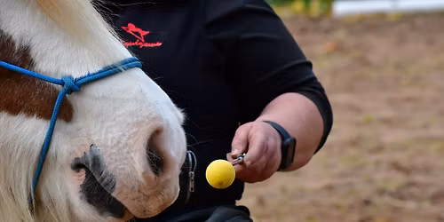 Positive Reinforcement Workshop w\/ Rosca Horsemanship at Derby College Equestrian Centre