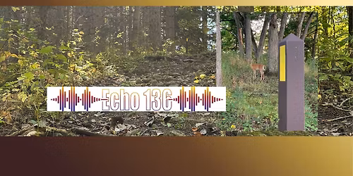 Echo 136