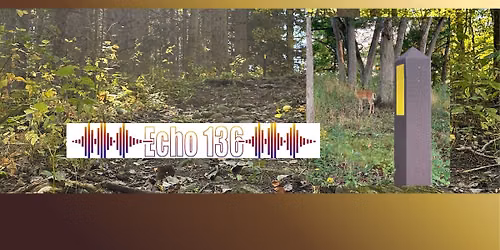 Echo 136