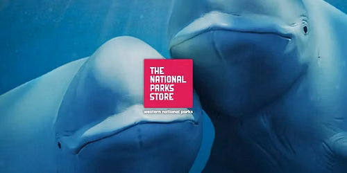 Documentary Series | Our Oceans, Ep. 4: Arctic Ocean