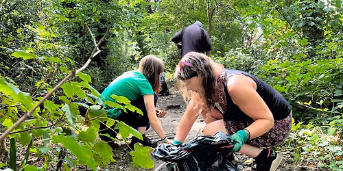 Park Wood Litter Pick
