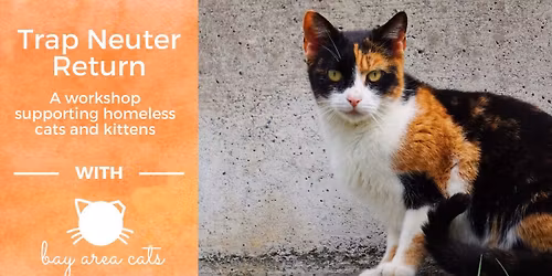Trap Neuter Return: A workshop supporting homeless cats & kittens