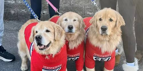 15th Annual Pooch Parade