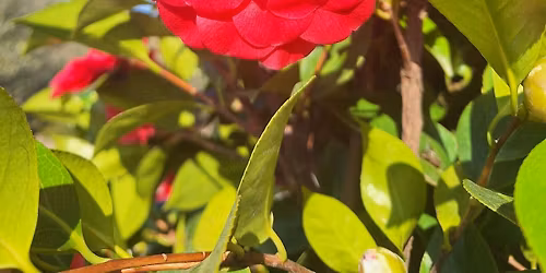 Seizoensopening 28 maart!🌸