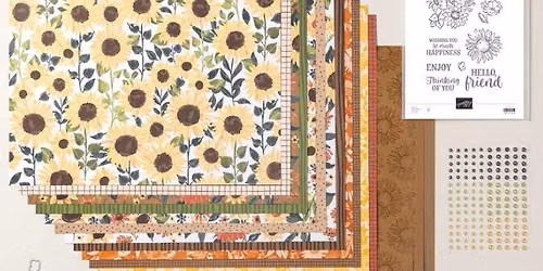 Sunflower Fields class