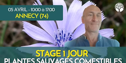STAGE 1 JOUR - HAUTE SAVOIE - PLANTES SAUVAGES COMESTIBLES