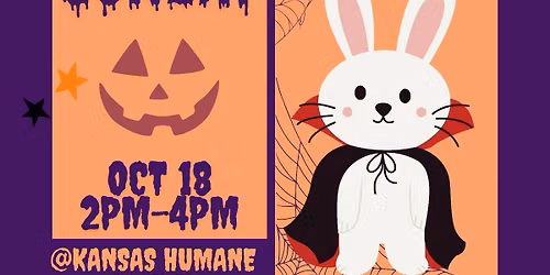 Free Bunny Bunanza