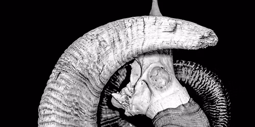 Scavengers Photography Club