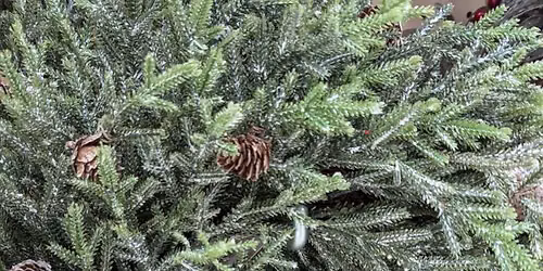 Fresh Wreath Class
