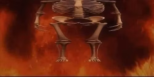 budowa sklepu w kliczkowie