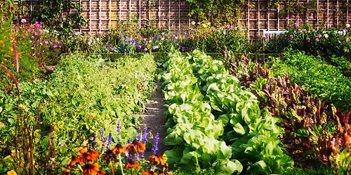 Gardening with an Ecologic Mindset