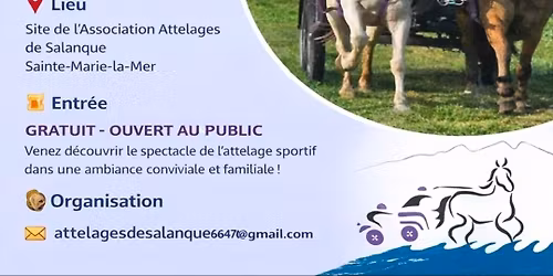 concours d'attelage 3 tests