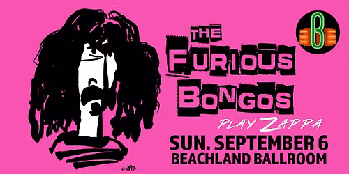 The Furious Bongos