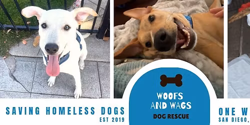 Adoption Event - Wildflour Liberty Station 