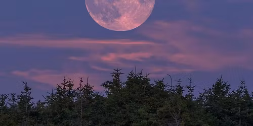 Spirit Northwest 2026