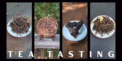 October Tea Tasting ~Spooky Teas~ @ HOWL
