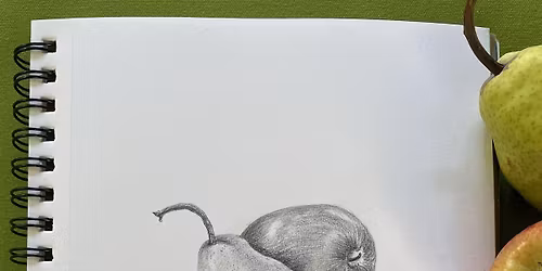 Intro to Drawing for the Absolute Beginner