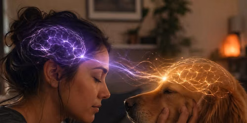 Animal Communication Workshop