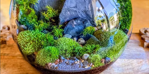 Build Your Own Moss Terrarium with GreenSpace. the Plant Place