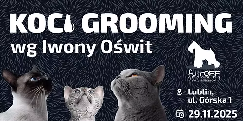 Koci grooming z Iwon\u0105 O\u015bwit