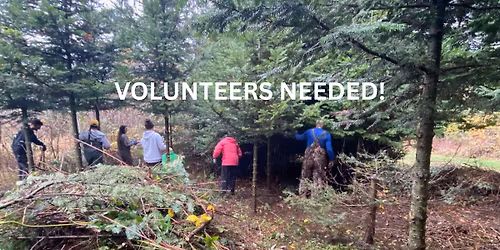 Big Soos Creek Salmon Restoration Event \u2014 Orca Conservancy