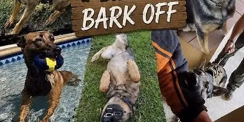4th Annual Dogtober Fest: Bingo Bark Off