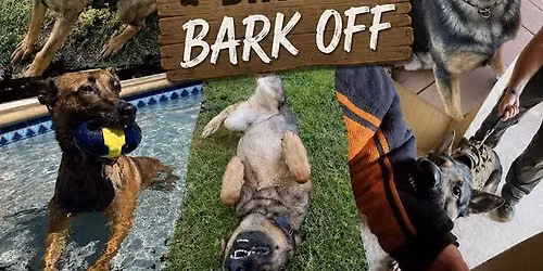 4th Annual Dogtober Fest: Bingo Bark Off