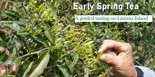 Early Spring Tea | Tea Made with Respekt