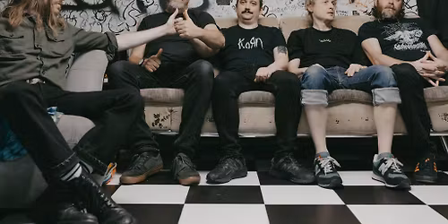 Pigs Pigs Pigs Pigs Pigs Pigs Pigs