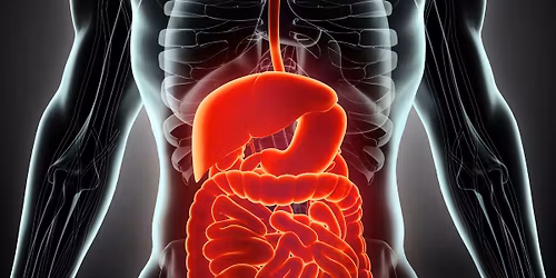 7th Annual McMaster Gastrointestinal and Liver Disease Update