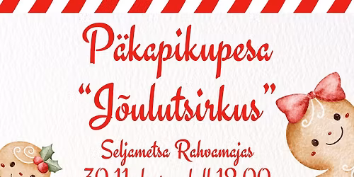 P\u00e4kapikupesa \u201cJ\u00f5ulutsirkus\u201d