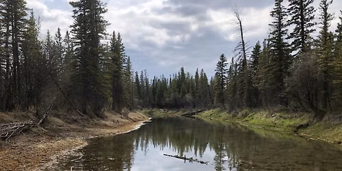 Soil Erosion and River Health