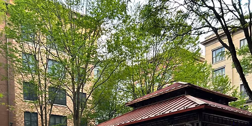 Cardio Dance at The Square