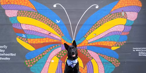 Downtown Flint Dog Walk