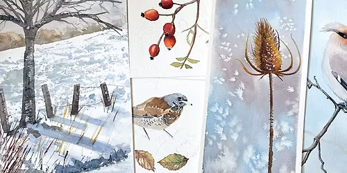 Watercolour drawing and Painting Class - 'Winter Birds and Frosty Berries'